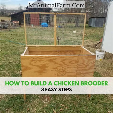 brooder box metal|homemade brooder box plans.